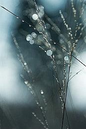 无政府时代的黑客义警 《Jack Move》登场角色前瞻